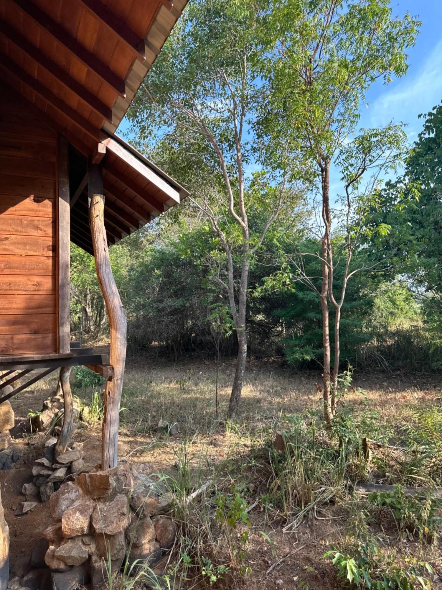 Отель Athreya Ayurveda Ashram Хабарана Экстерьер фото