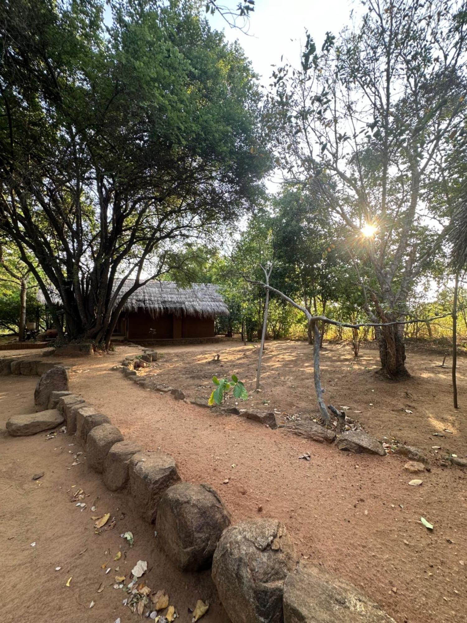 Отель Athreya Ayurveda Ashram Хабарана Экстерьер фото