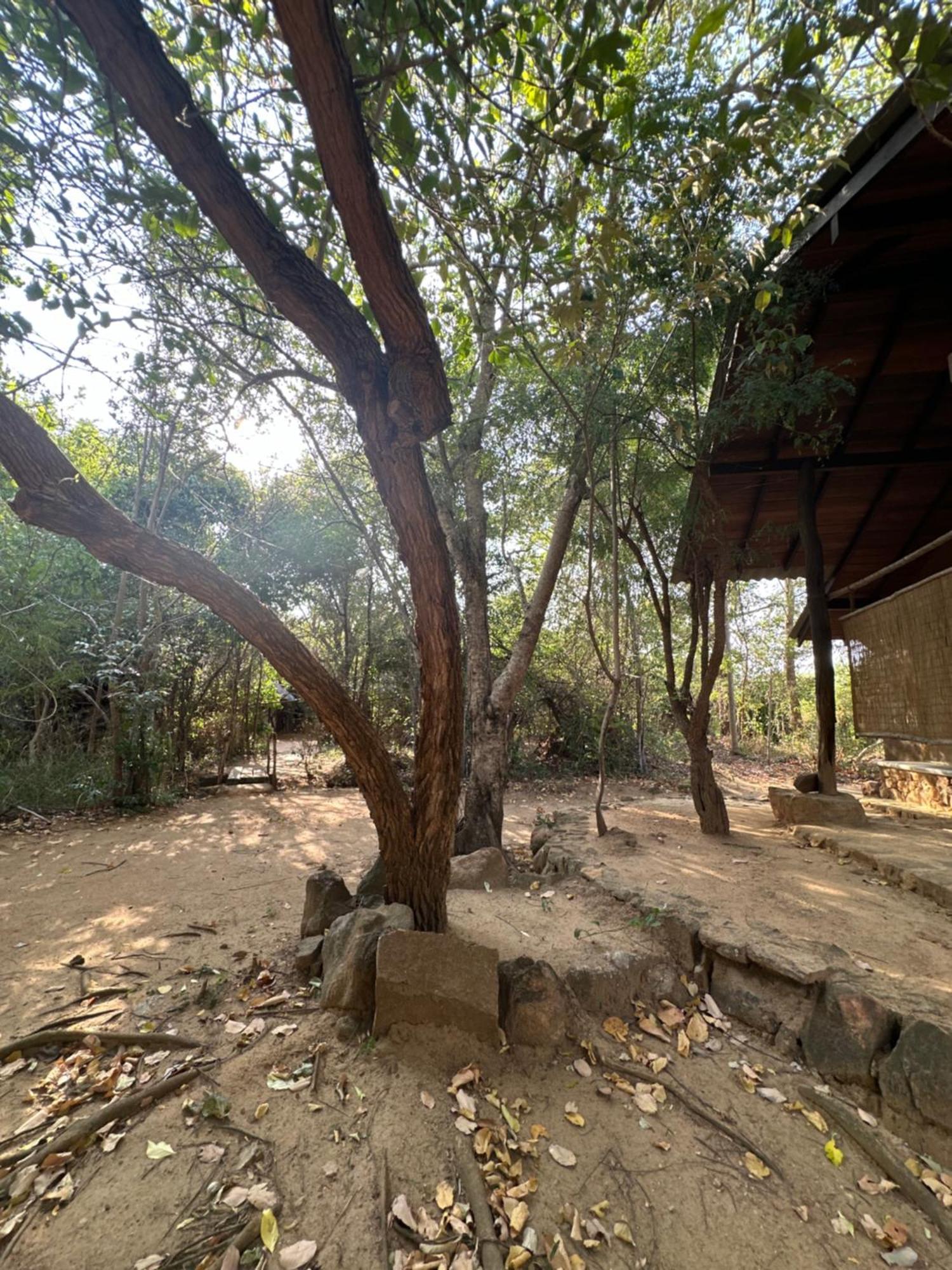 Отель Athreya Ayurveda Ashram Хабарана Экстерьер фото