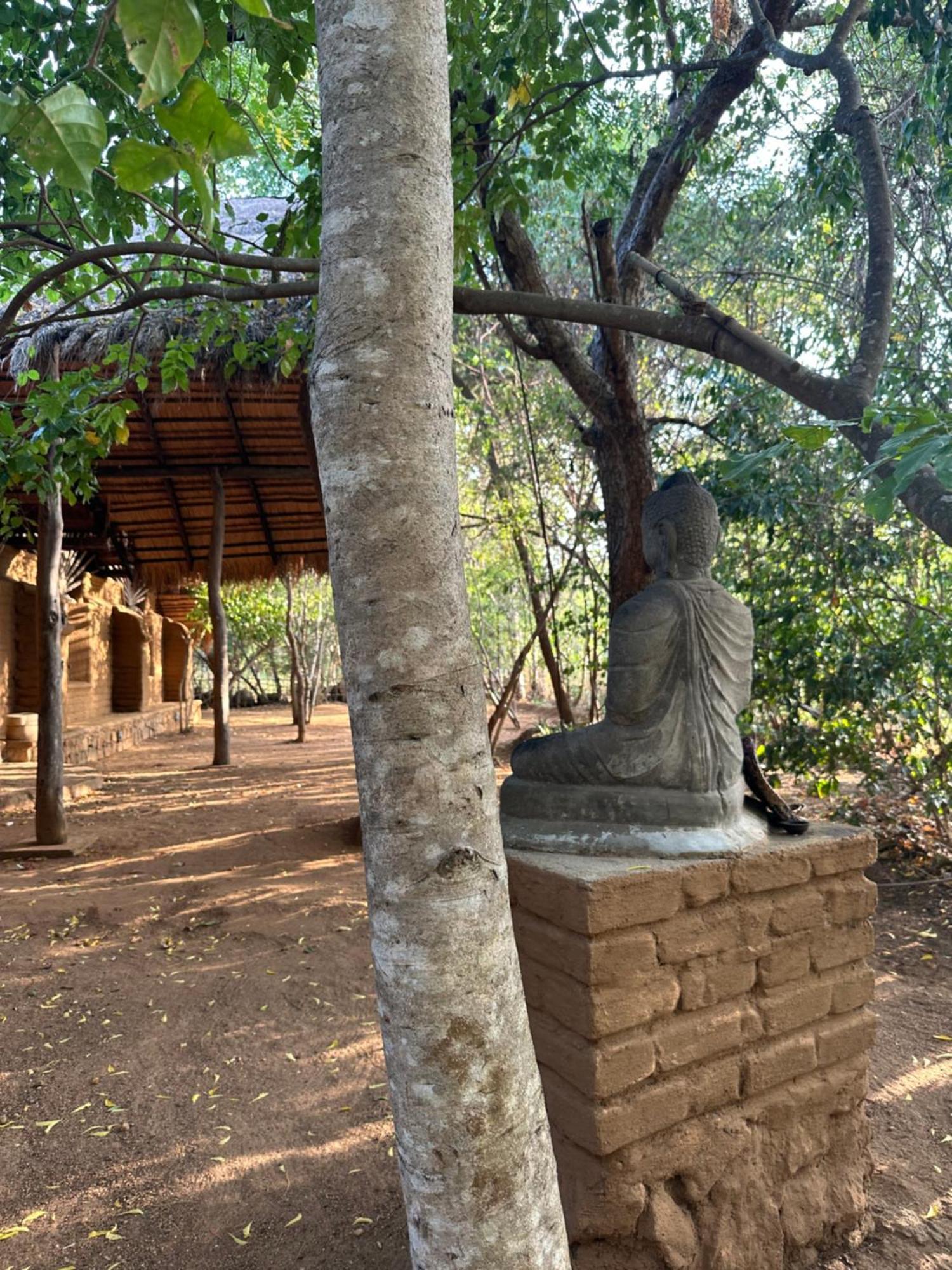 Отель Athreya Ayurveda Ashram Хабарана Экстерьер фото