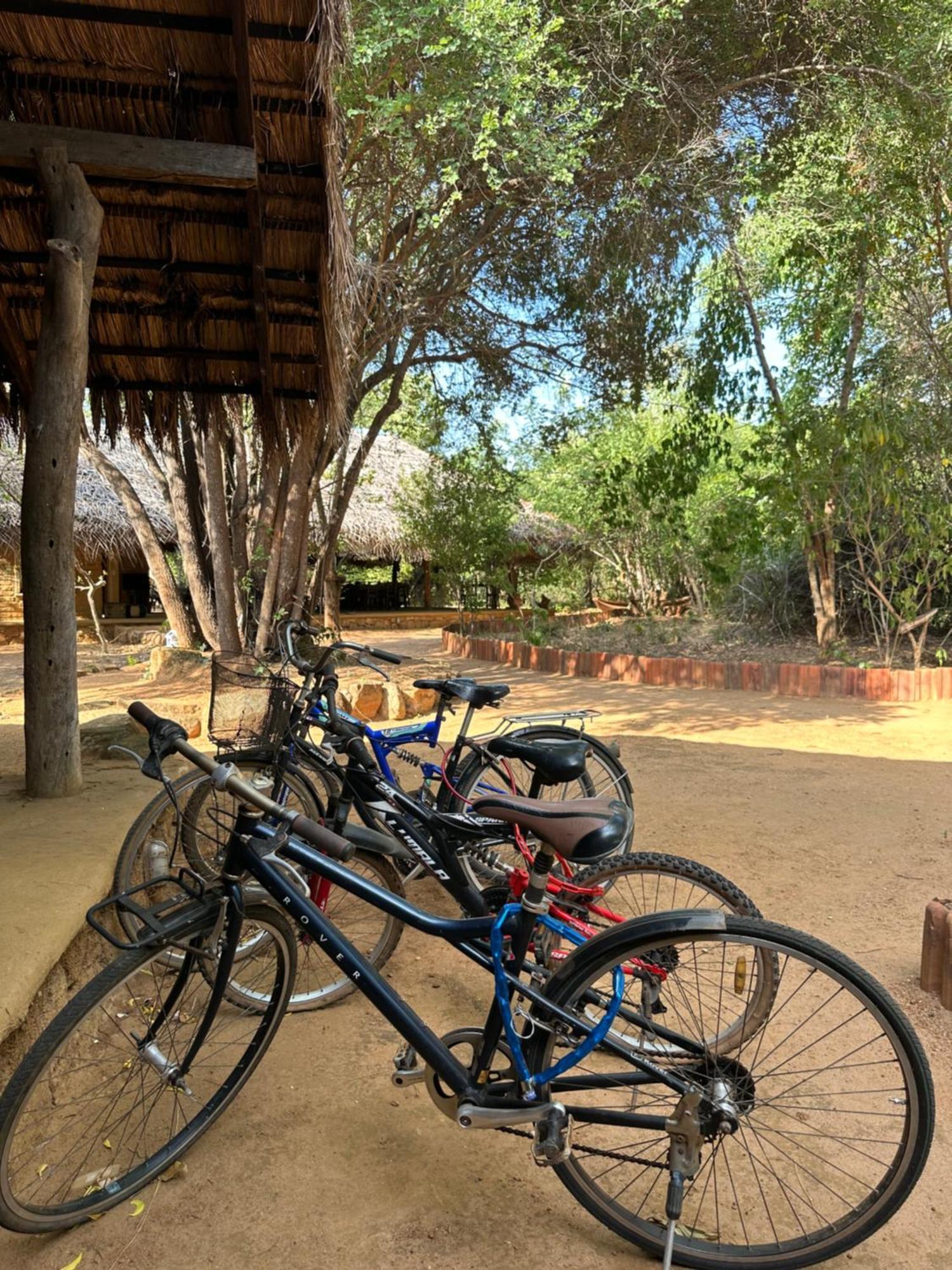 Отель Athreya Ayurveda Ashram Хабарана Экстерьер фото
